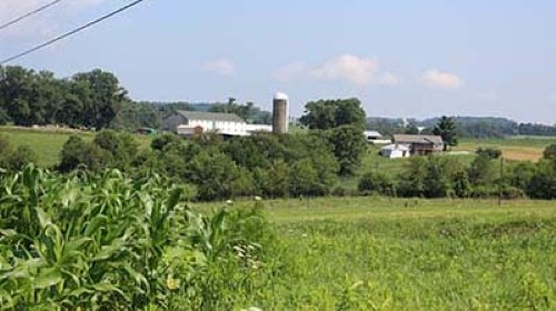 Farmland throughout the project area will be considered during Final Design Farmland throughout the project area will be considered during Final Design