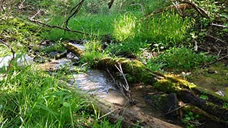 Stream Stream